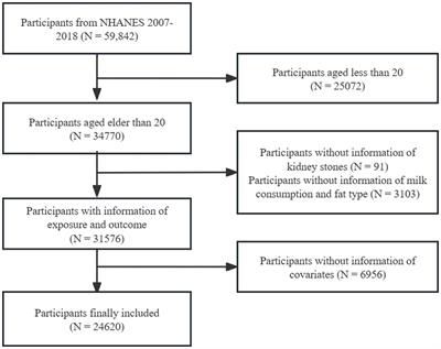 Association between milk consumption and kidney stones in U.S. adults: results from NHANES 2007–2018